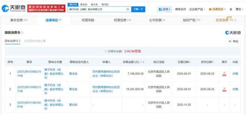 羅永浩名下錘子科技再收限消令 基礎軟件服務面臨挑戰